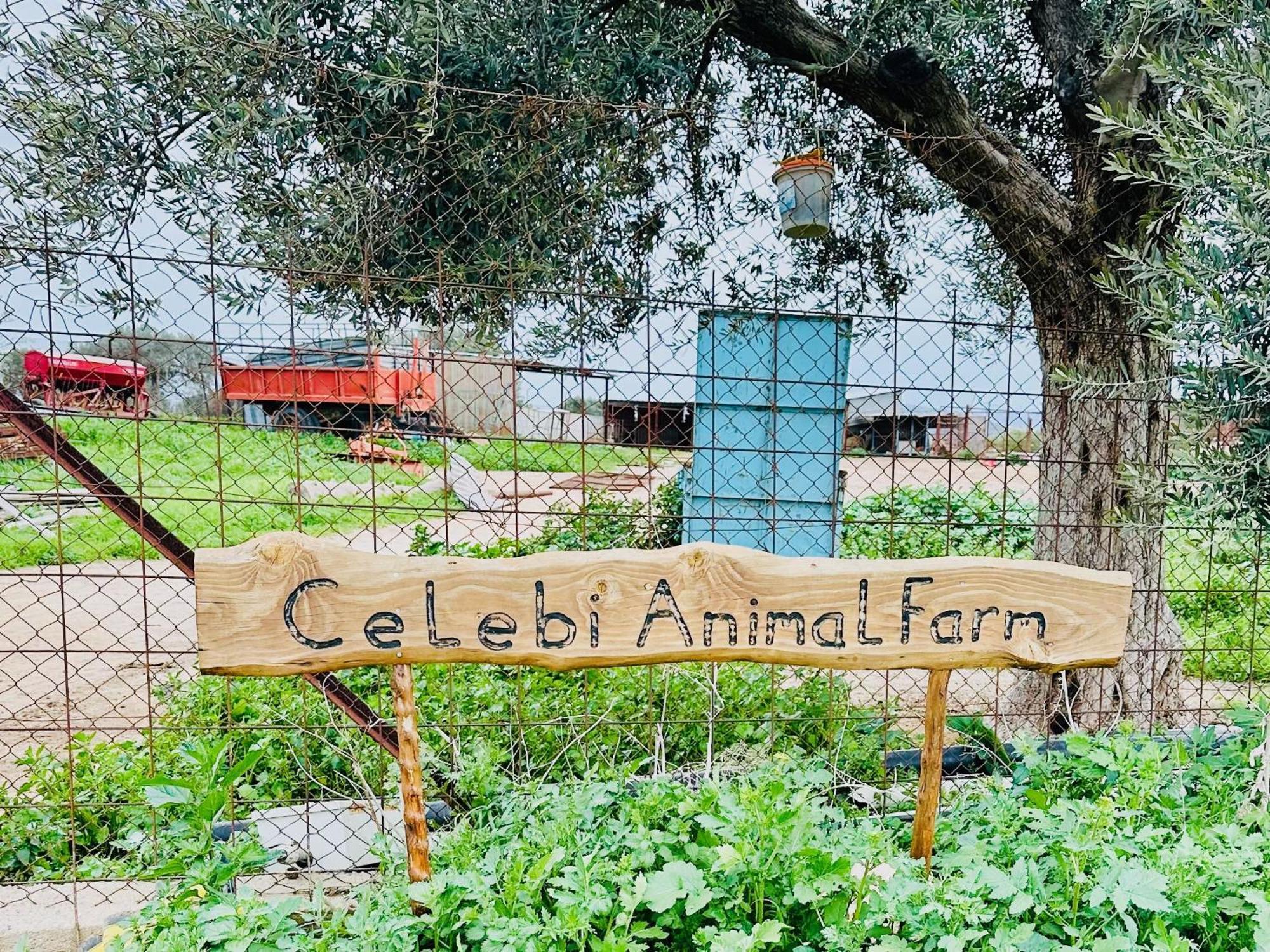 Celebi Garden Hotel - Cittaslow Retreat Famagusta  Exterior foto