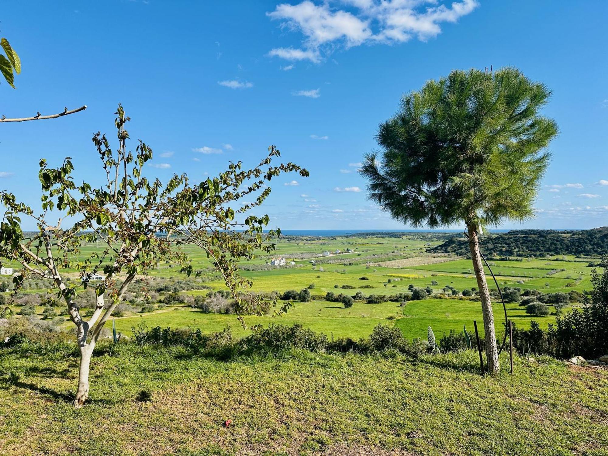 Celebi Garden Hotel - Cittaslow Retreat Famagusta  Exterior foto